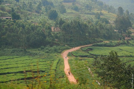 Caminho