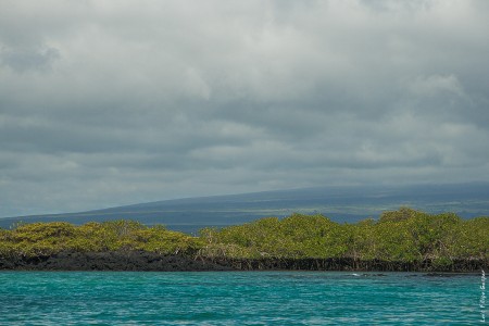 Água