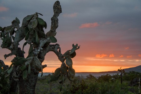 Por do Sol