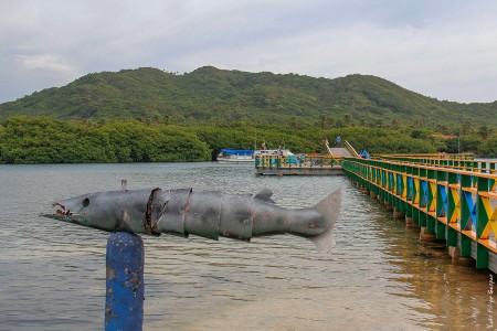 Ponte