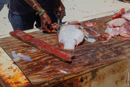 Pescador