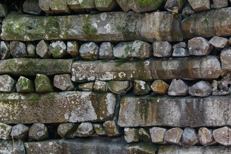 Muro