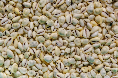Búzios