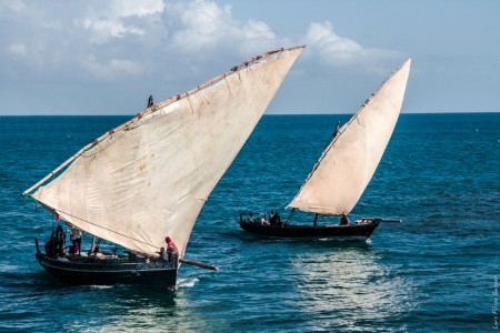 Barcos