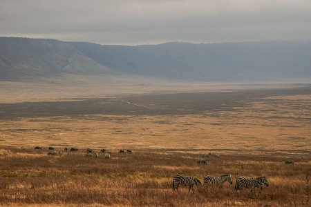 Tanzânia