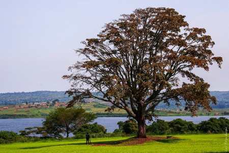 Uganda