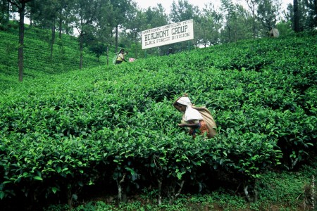 Sri Lanka