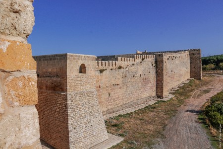 Daguestão