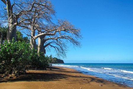 Mayotte