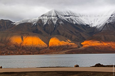 Svalbard