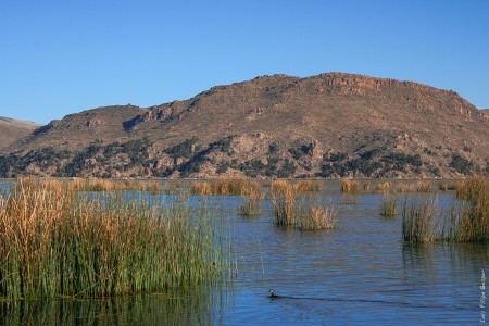 Lago