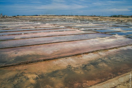 Salinas