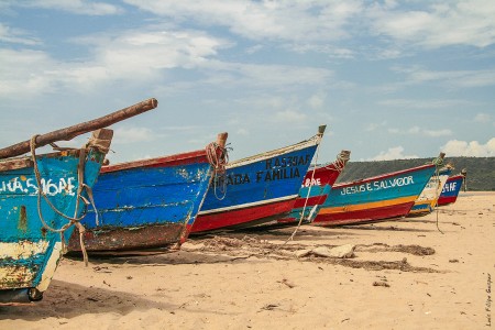 Barcos